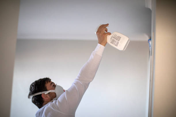 Best Black Mold Removal  in Woxall, PA