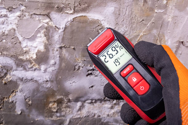 Best Toxic Mold Removal  in Woxall, PA