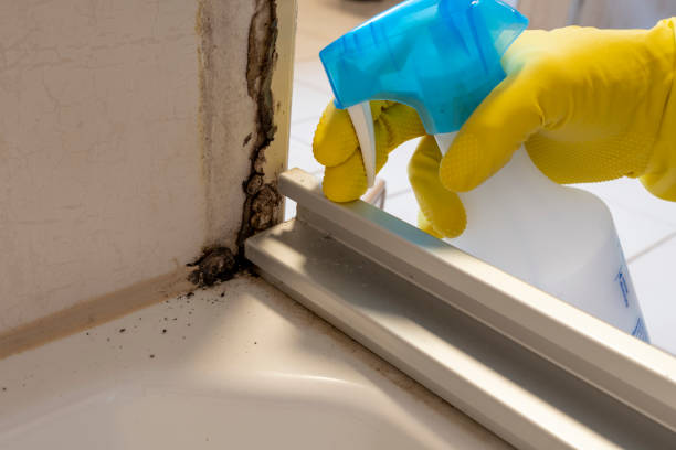 Best Emergency Mold Removal  in Woxall, PA