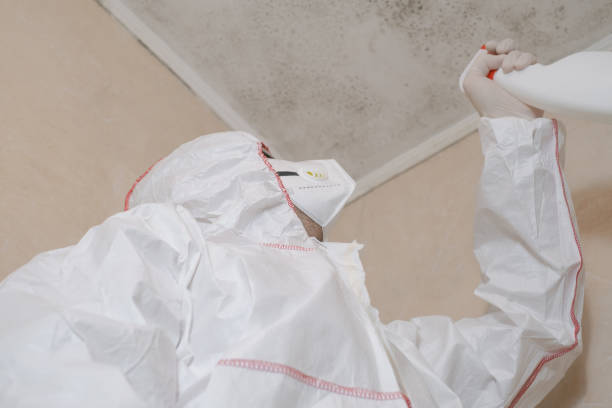 Office Mold Removal Services in Woxall, PA