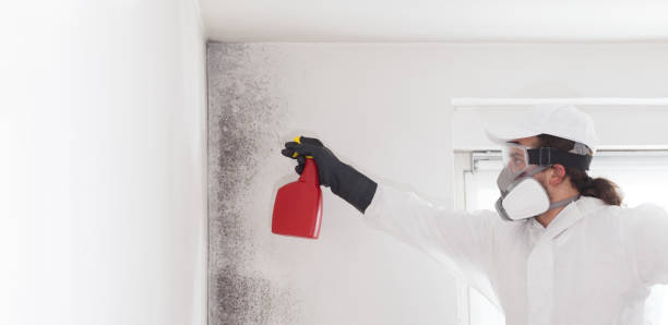 Best Certified Mold Removal  in Woxall, PA